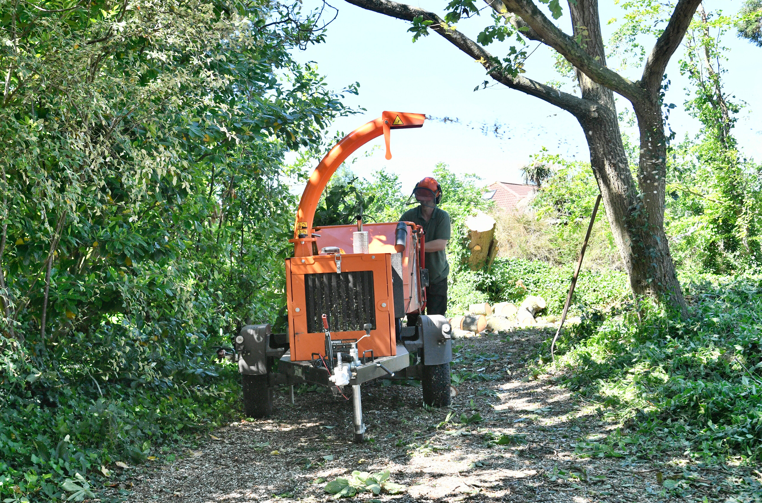 Grounds & Gardens Somerset | Arbortech Professional Tree Services